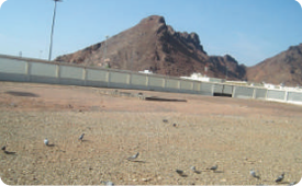 Uhud martyrs cemetery